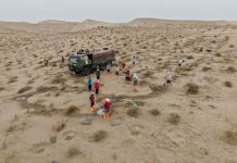 Cina: volontari piantano alberi per contrastare la desertificazione (3)