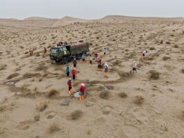 Cina: volontari piantano alberi per contrastare la desertificazione (3)