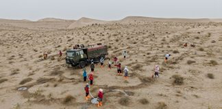 Cina: volontari piantano alberi per contrastare la desertificazione (3)