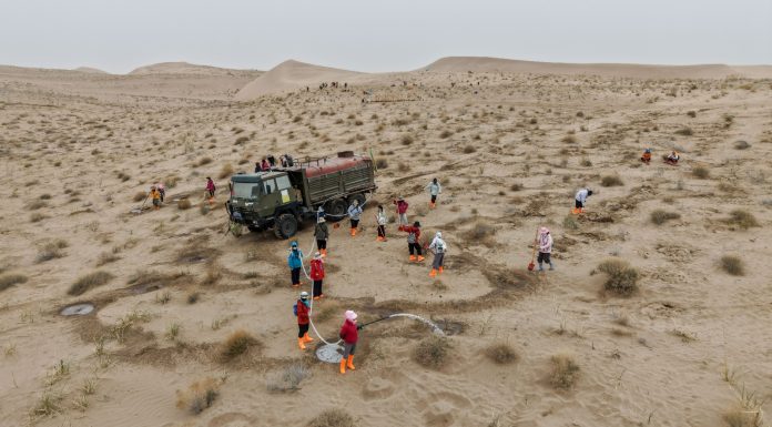 Cina: volontari piantano alberi per contrastare la desertificazione (3)