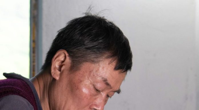 Cina: agricoltori portano l’aroma del tè dalle remote montagne alle città (3)