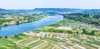 Cina: Hechuan, intensa attività agricola per l’aratura primaverile (3)