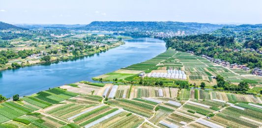 Cina: Hechuan, intensa attività agricola per l’aratura primaverile (3)