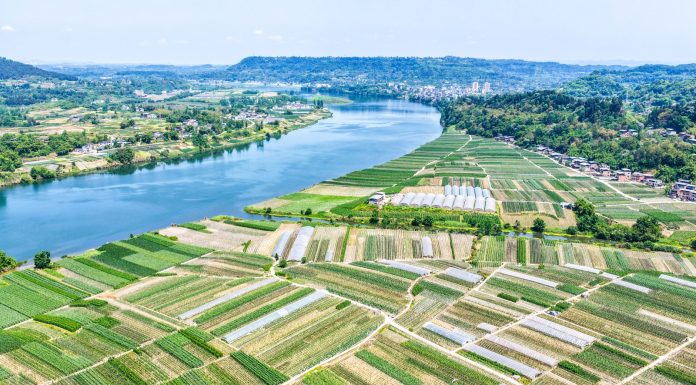 Cina: Hechuan, intensa attività agricola per l’aratura primaverile (3)