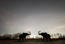 Cina: sciame meteorico delle Liridi visibile nello Heilongjiang (3)