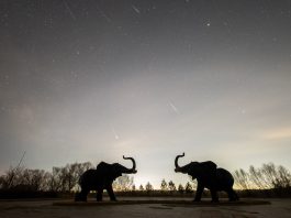 Cina: sciame meteorico delle Liridi visibile nello Heilongjiang (3)