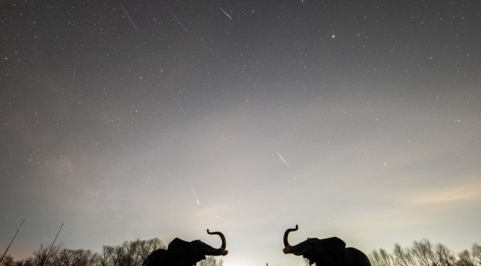 Cina: sciame meteorico delle Liridi visibile nello Heilongjiang (3)