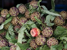 Italia: a Ladispoli al via la sagra del carciofo (3)