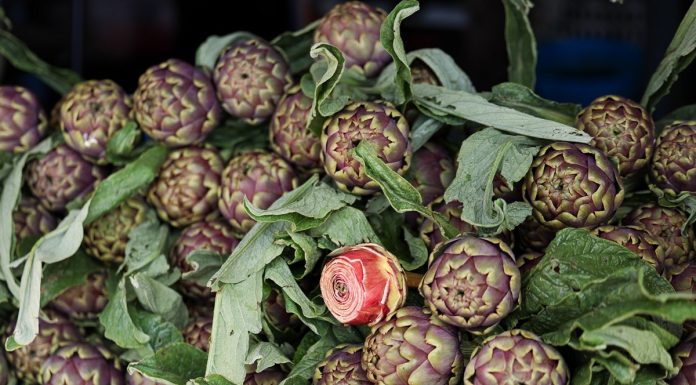 Italia: a Ladispoli al via la sagra del carciofo (3)