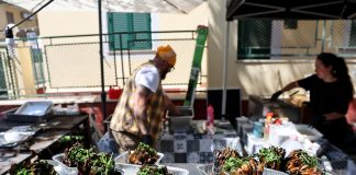 Italia: a Ladispoli al via la sagra del carciofo (2)