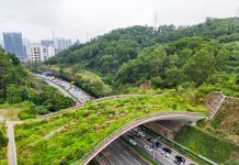 Cina: Shenzhen promuove tutela della biodiversità (3)