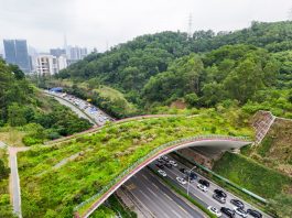 Cina: Shenzhen promuove tutela della biodiversità (3)
