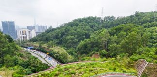 Cina: Shenzhen promuove tutela della biodiversità (3)