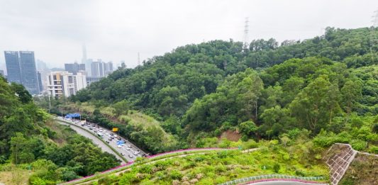 Cina: Shenzhen promuove tutela della biodiversità (3)