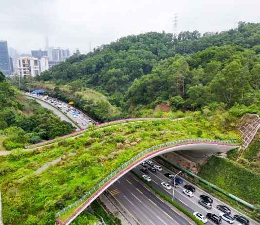 Cina: Shenzhen promuove tutela della biodiversità (3)