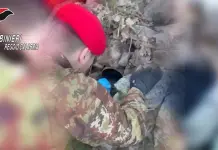 Armi nascoste tra le pietre, scoperto un deposito clandestino in Aspromonte