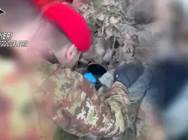 Armi nascoste tra le pietre, scoperto un deposito clandestino in Aspromonte