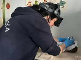 Al Policlinico Casula di Cagliari si può curare la retinopatia neonatale