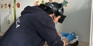 Al Policlinico Casula di Cagliari si può curare la retinopatia neonatale