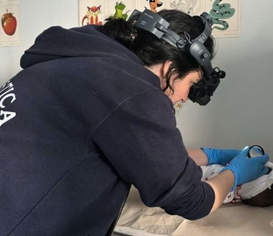 Al Policlinico Casula di Cagliari si può curare la retinopatia neonatale