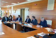 Dalla Giunta della Calabria ok agli psicologi nella Case di comunità e al Piano antincendio boschivo 2026