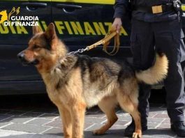 Parma, smantellato traffico di cocaina da 4 milioni di euro: 3 arresti