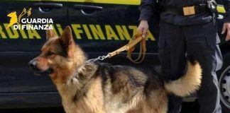 Parma, smantellato traffico di cocaina da 4 milioni di euro: 3 arresti