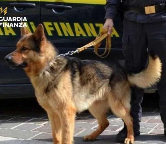 Parma, smantellato traffico di cocaina da 4 milioni di euro: 3 arresti