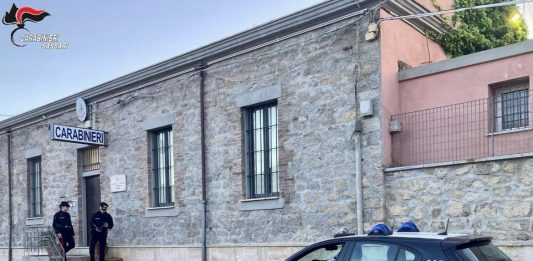 Atti persecutori e uccisione di animali ai danni della vicina, un arresto nel Sassarese