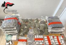 Sequestrati 18 kg di droga nel Torinese, 38enne arrestato a Rivarolo