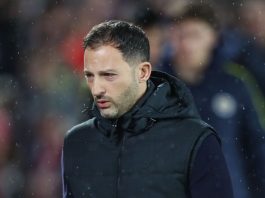Domenico Tedesco sacked by Fenerbahce