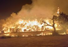 Incendio nella notte nel Ragusano, in fiamme i locali di un’azienda sulla Santa Croce Camerina-Comiso