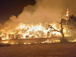 Incendio nella notte nel Ragusano, in fiamme i locali di un’azienda sulla Santa Croce Camerina-Comiso