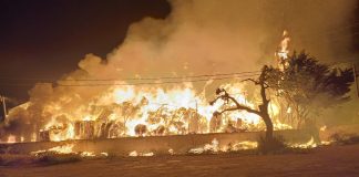 Incendio nella notte nel Ragusano, in fiamme i locali di un’azienda sulla Santa Croce Camerina-Comiso