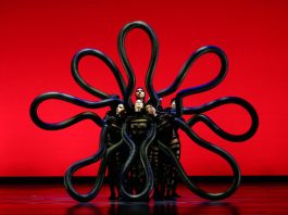 Il mito dei Momix torna al Teatro Toniolo: debutta “Botanica – Season 2”