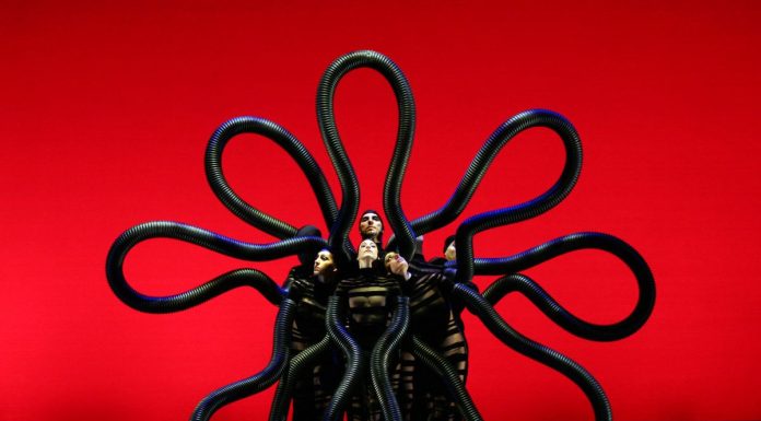 Il mito dei Momix torna al Teatro Toniolo: debutta “Botanica – Season 2”