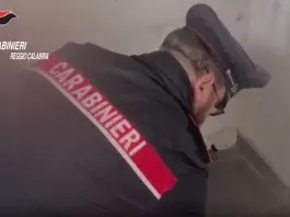 Arsenale nascosto in un bunker segreto nella Piana di Gioia Tauro, un arresto