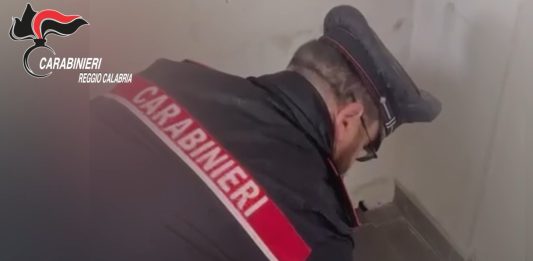 Arsenale nascosto in un bunker segreto nella Piana di Gioia Tauro, un arresto
