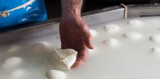 Mozzarella Dop, l’allarme del Consorzio “Impennata dei costi di produzione a causa della crisi in Iran, possibili rialzi dei listini”