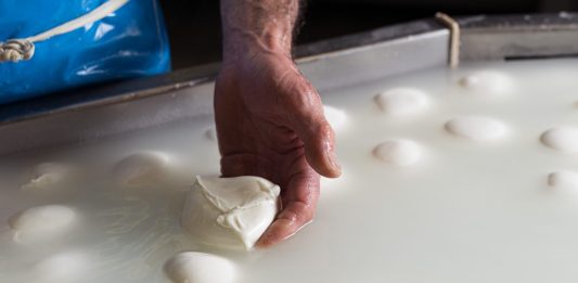 Mozzarella Dop, l’allarme del Consorzio “Impennata dei costi di produzione a causa della crisi in Iran, possibili rialzi dei listini”