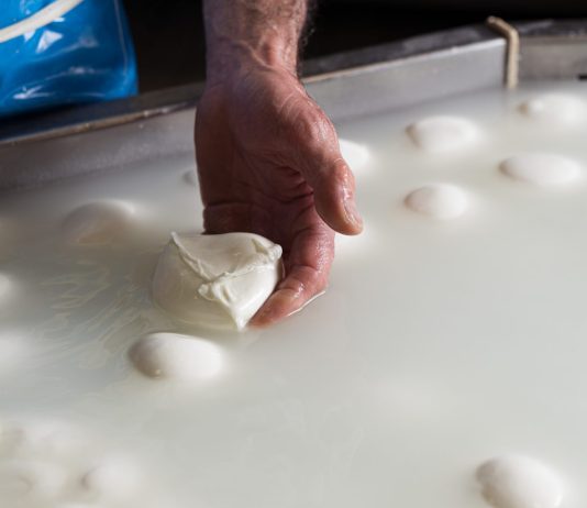 Mozzarella Dop, l’allarme del Consorzio “Impennata dei costi di produzione a causa della crisi in Iran, possibili rialzi dei listini”