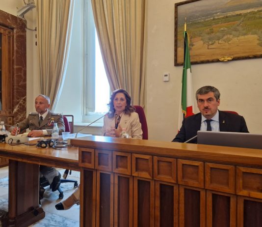 Rauti “Artico diventato un quadrante strategico per la sicurezza, Italia protagonista”