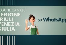 Fedriga “Dal 4 maggio attivo il canale WhatsApp della Regione Friuli Venezia Giulia”