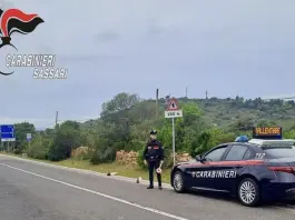 Posizionano dei massi in mezzo alla strada nella notte in Gallura, fermati 6 minorenni