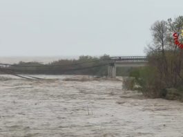 Maltempo al Centro-Sud, crolla viadotto su fiume Trigno tra Abruzzo e Molise. Situazione critica nel Foggiano / Video