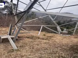 Sabotaggio alla linea elettrica, ripercussioni sull’oleodotto che da Trieste porta il petrolio fino all’Europa Centrale / Video