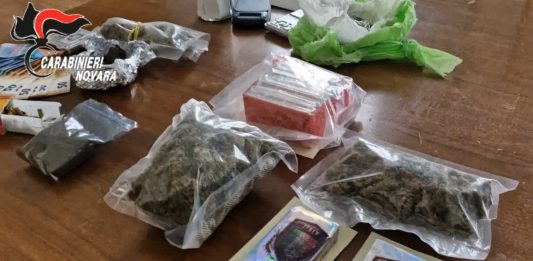 Smantellata nel Nord Italia rete dedita al narcotraffico, 21 misure cautelari / Video