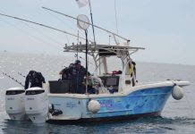 Debutta la Suzuki Fishing Cup agli Assoluti di Drifting 2026 a Ravenna