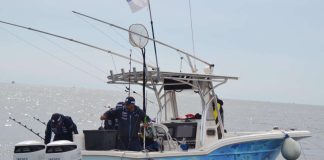 Debutta la Suzuki Fishing Cup agli Assoluti di Drifting 2026 a Ravenna