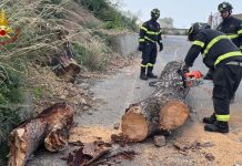 Maltempo, nel Messinese oltre 40 interventi dei Vigili del Fuoco per forte scirocco